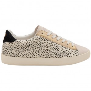 Gola Classics Nova Oasis Sneakers Hvide Danmark | LEJV68925